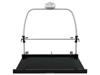 WUNDER RW2.0 MOVE DIGITAL PLATFORM SCALE WITH HANDRAIL AND WHEELS 300 kg - Class III