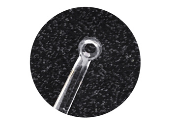 LIGHTED MICRO LOOP so lens a LED illuminator