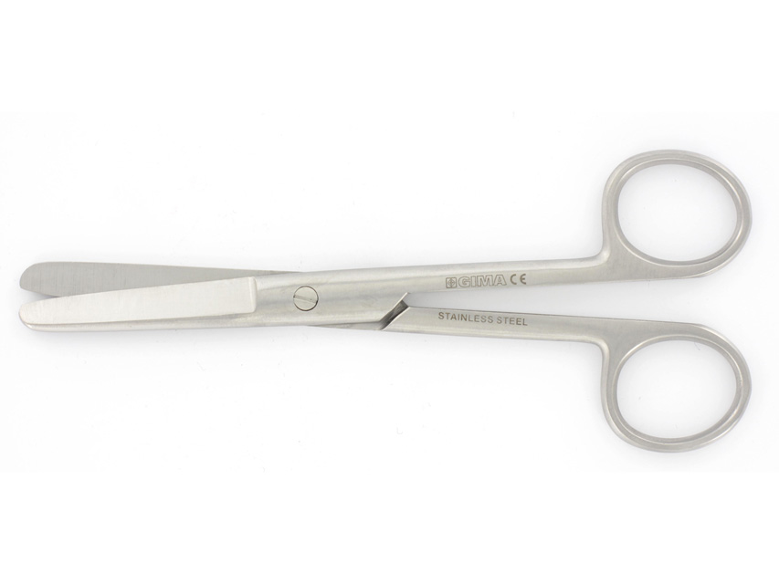 12 Straight Sharp Scissors