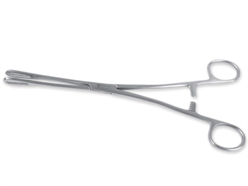 RAMPLEY FORCEPS - 24 cm