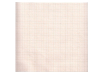 ECG thermal paper 210x30 mm x m roll - orange grid