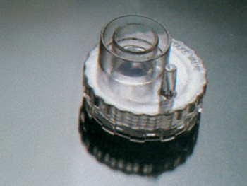 REAR VALVE (intake valve)