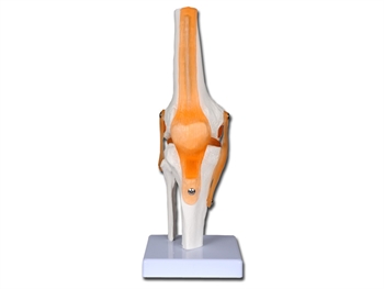 VALUE KNEE JOINT